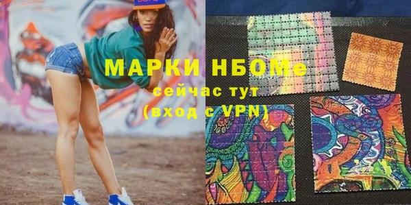 сатива Новодвинск