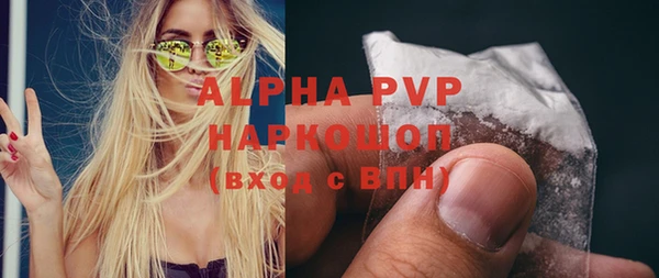 сатива Новодвинск