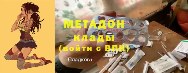 сатива Новодвинск