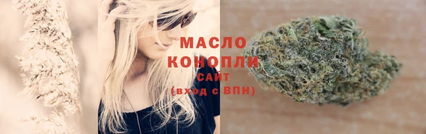 тгк Нея