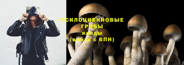 МДПВ Новокубанск