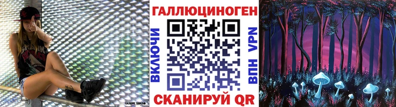 хочу наркоту Кадников Галлюциногенные грибы Psilocybine cubensis