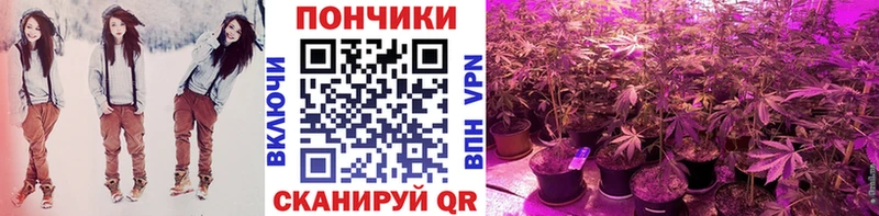 Бошки марихуана план  Кадников 